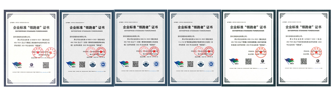 深纜科技企業(yè)標準領跑者證書.jpg